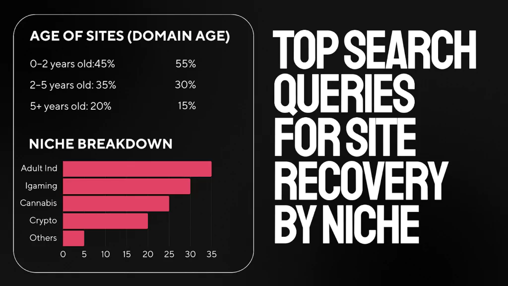 Recovery SEO service