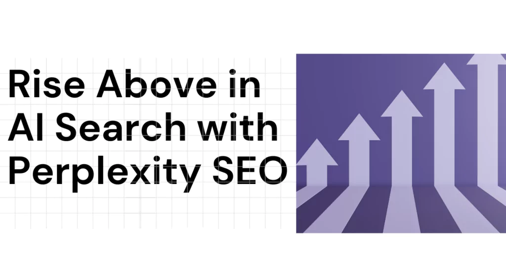 Perplexety SEO service